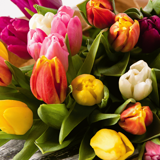 Bulk Tulips – Build Your Own Box (5+ Bunches)