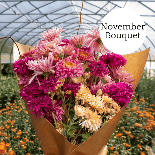 Virginia Love Year-Round Subscription