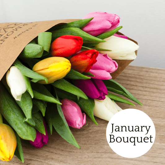 Virginia Love Year-Round Subscription