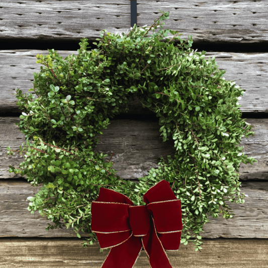 Boxwood Wreath