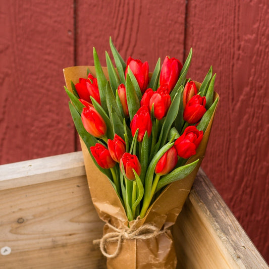 OFFICE DELIVERY: Red Tulip Bouquet