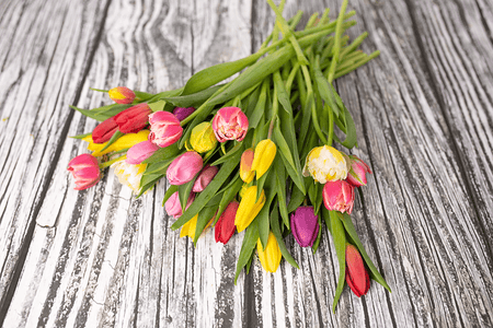 The Specialty Tulip Bouquet Box