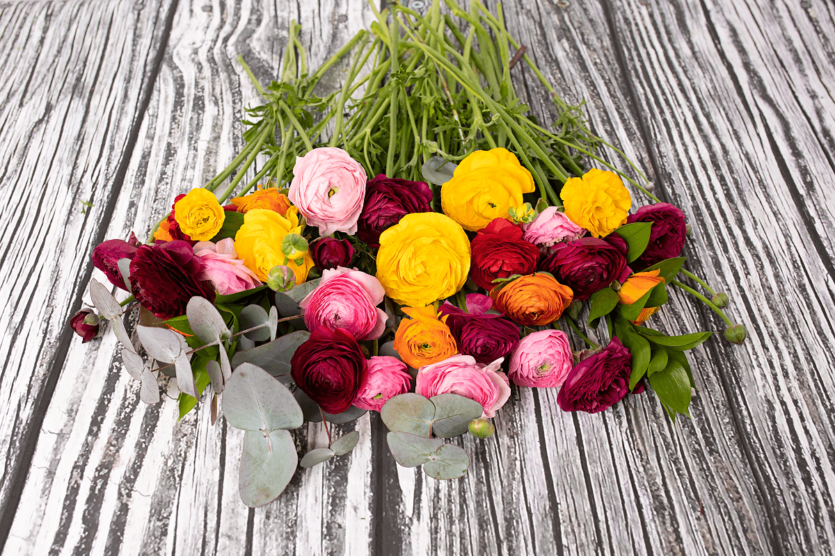 The Ranunculus Bouquet