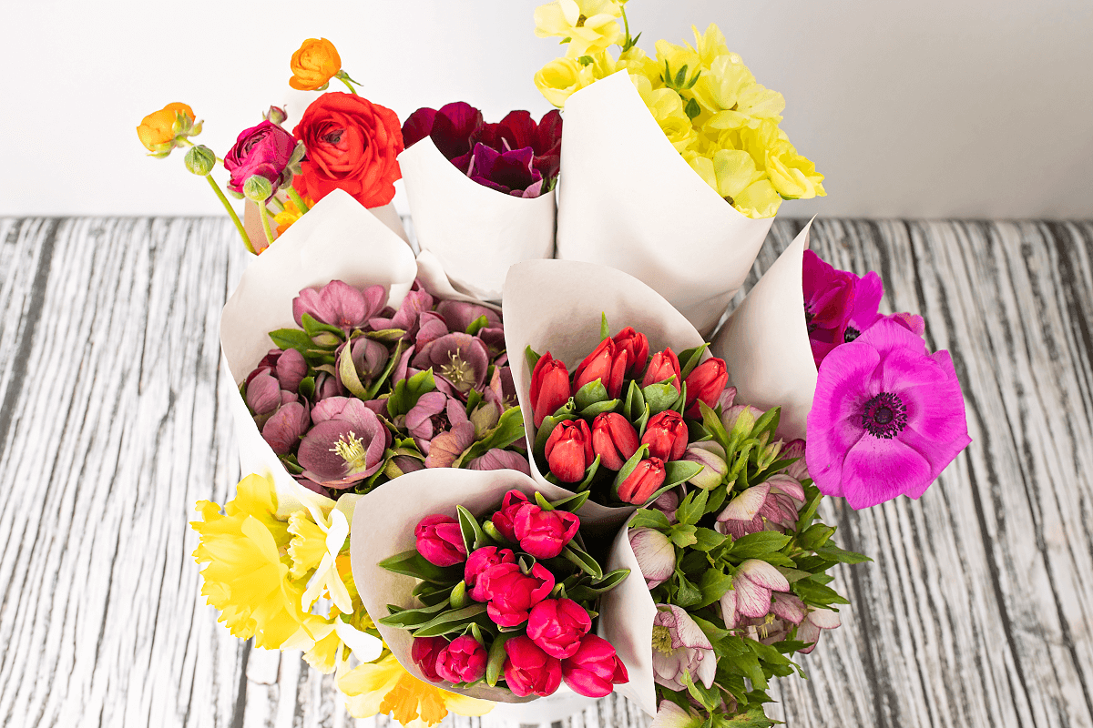 The Spring Collection Bulk Box