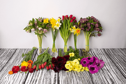 The Spring Collection Bulk Box