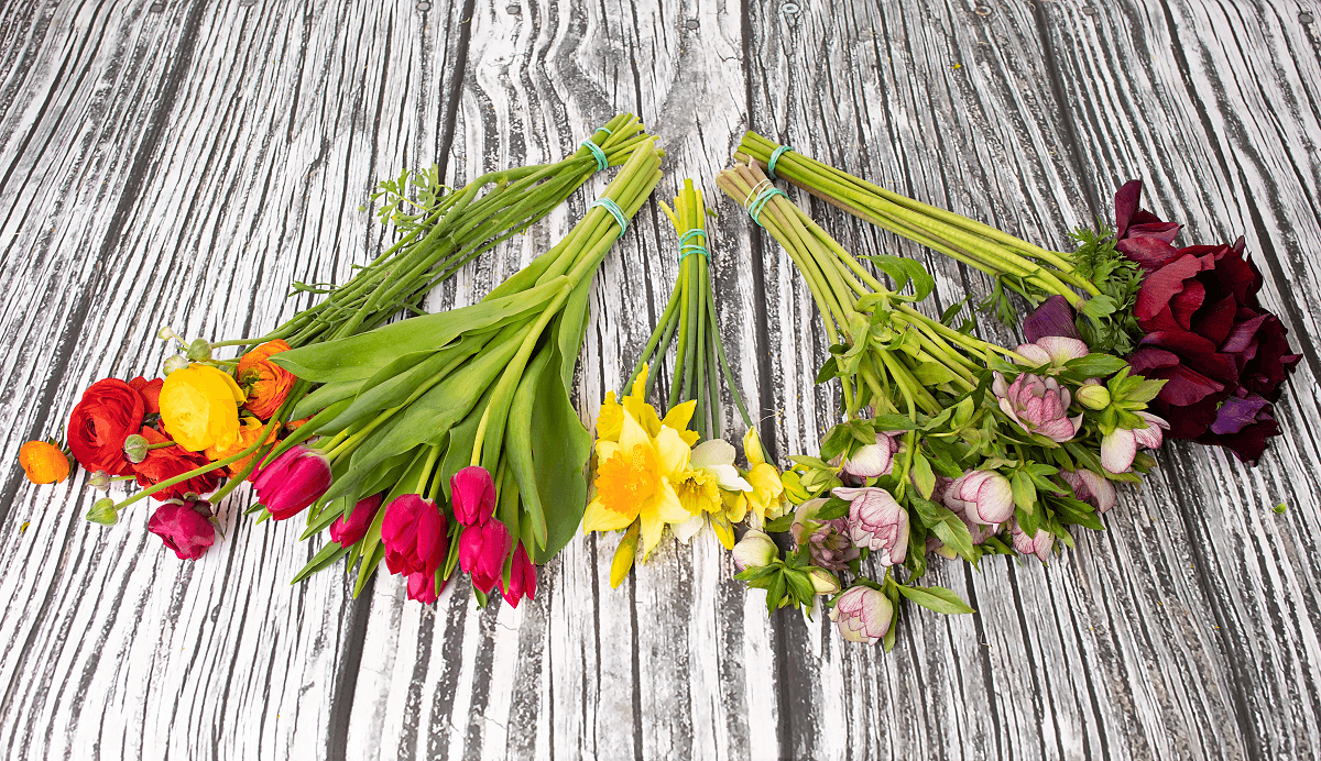 The Spring Collection Bulk Box