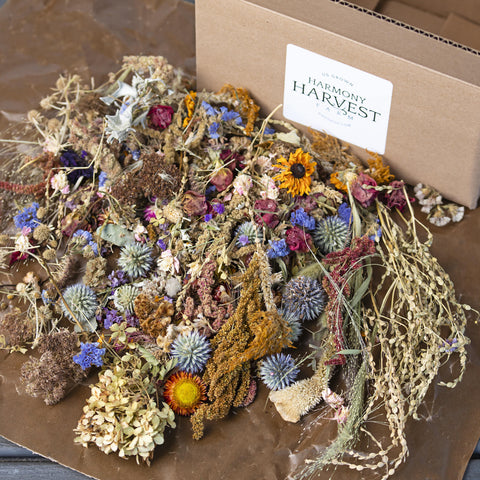 The Dried Flower Crafter's Box
