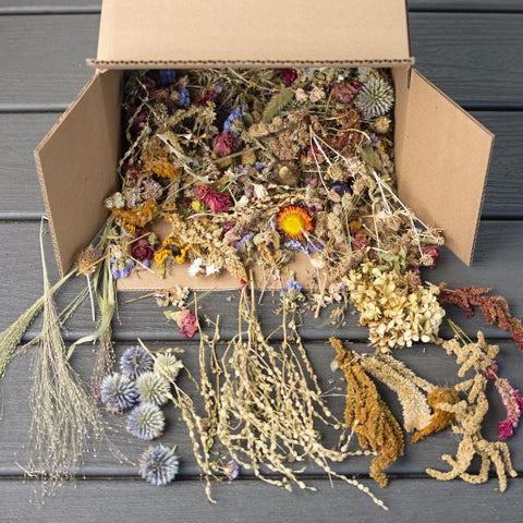 The Dried Flower Crafter's Box
