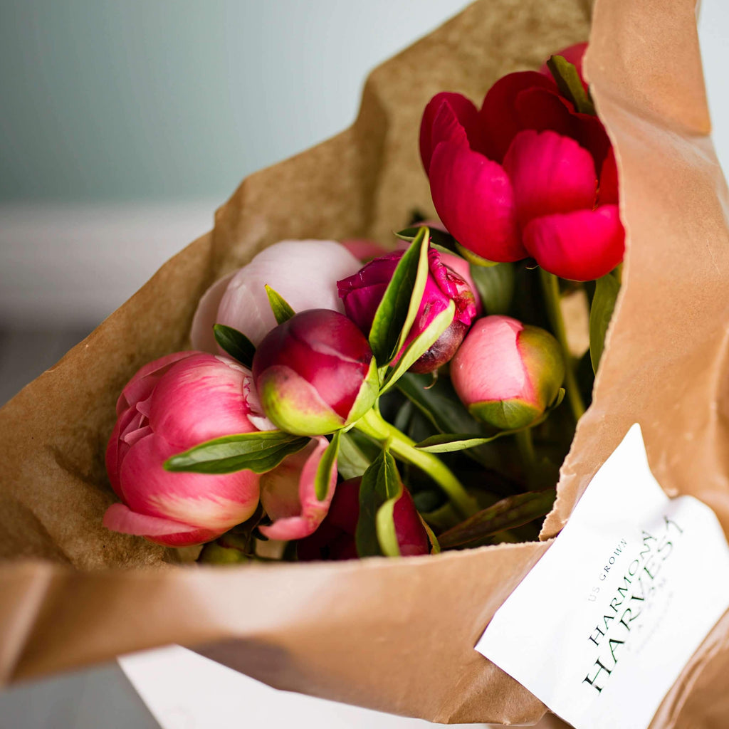 The Peony Bouquet