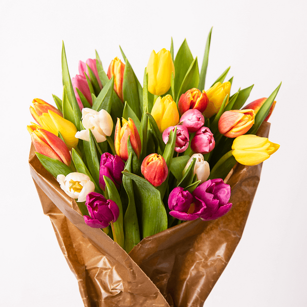 The Classic Tulip Bouquet Box – Harmony Harvest Farm