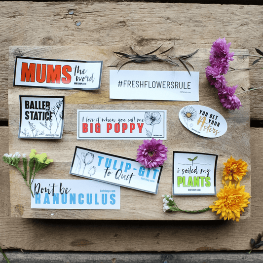 Punny Flower Sticker Set