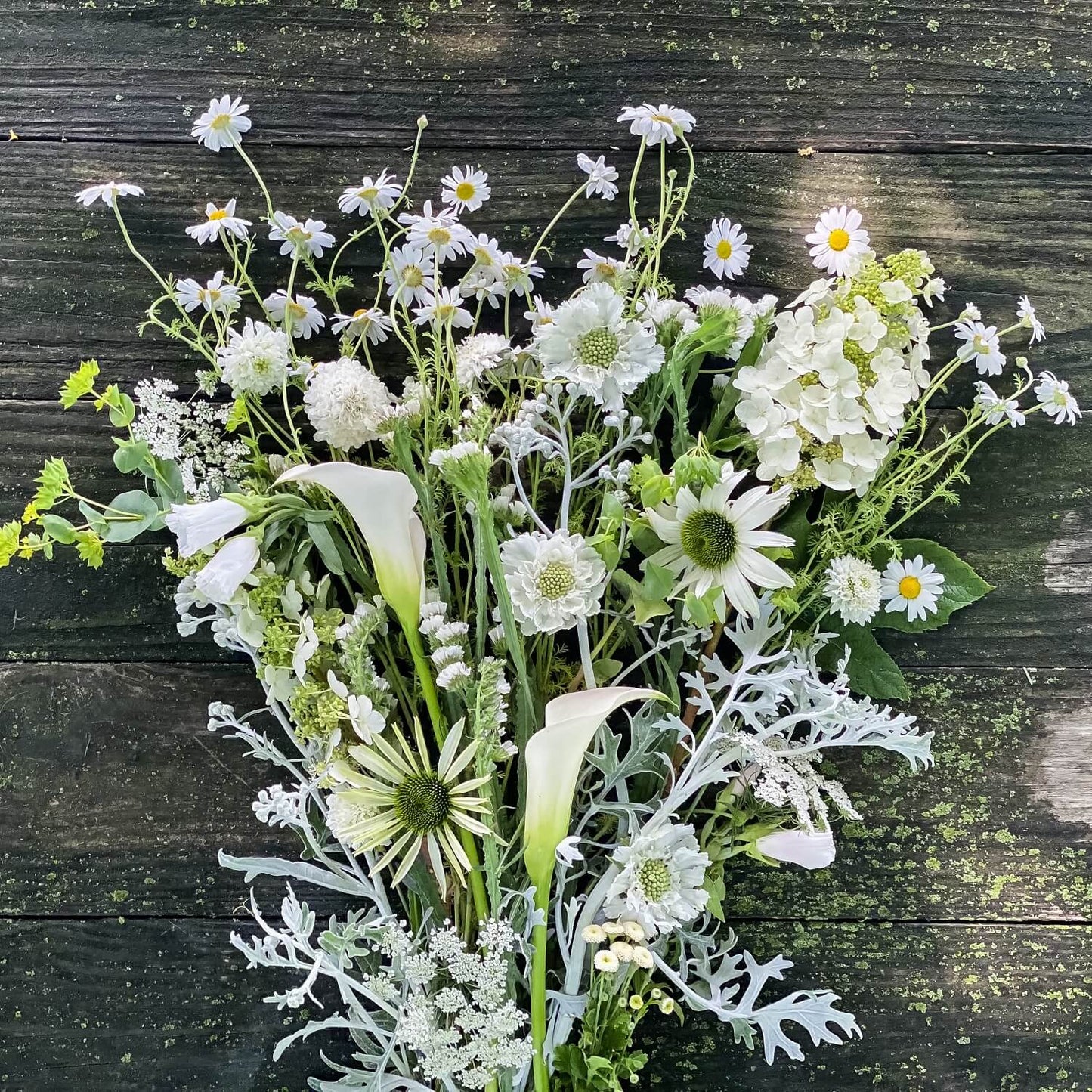 The Blanc Half Box Bulk Wedding Flowers
