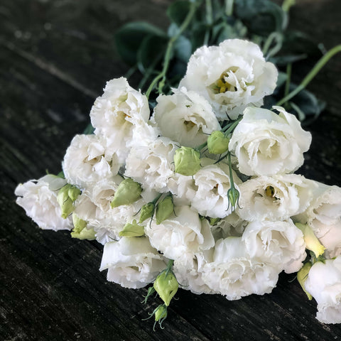 The Blanc Half Box
