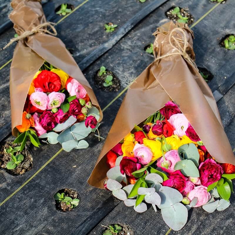 The Ranunculus Bouquet