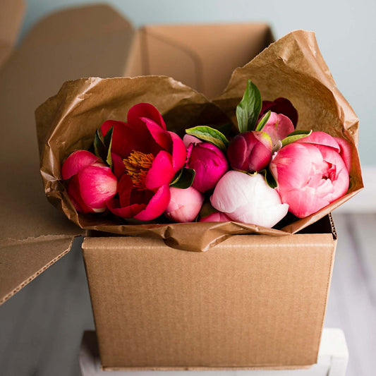 The Peony Bulk Box